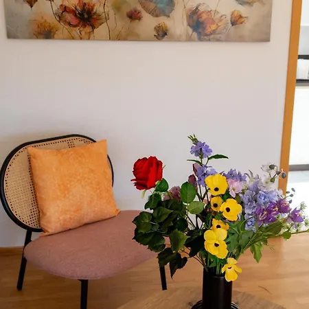 Himmelsbach Apartament